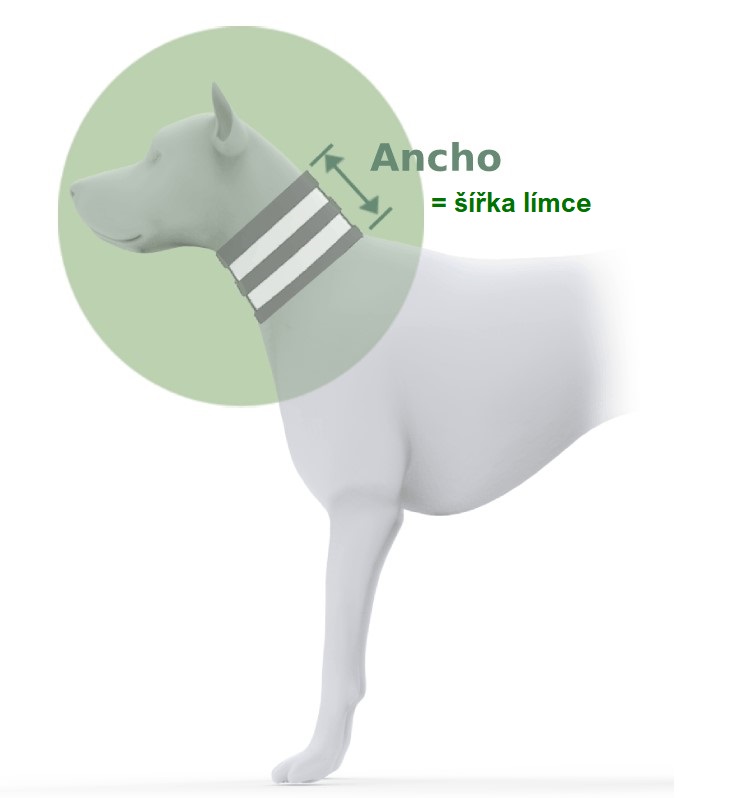 Snímek obrazovky 2025-08-10 204222